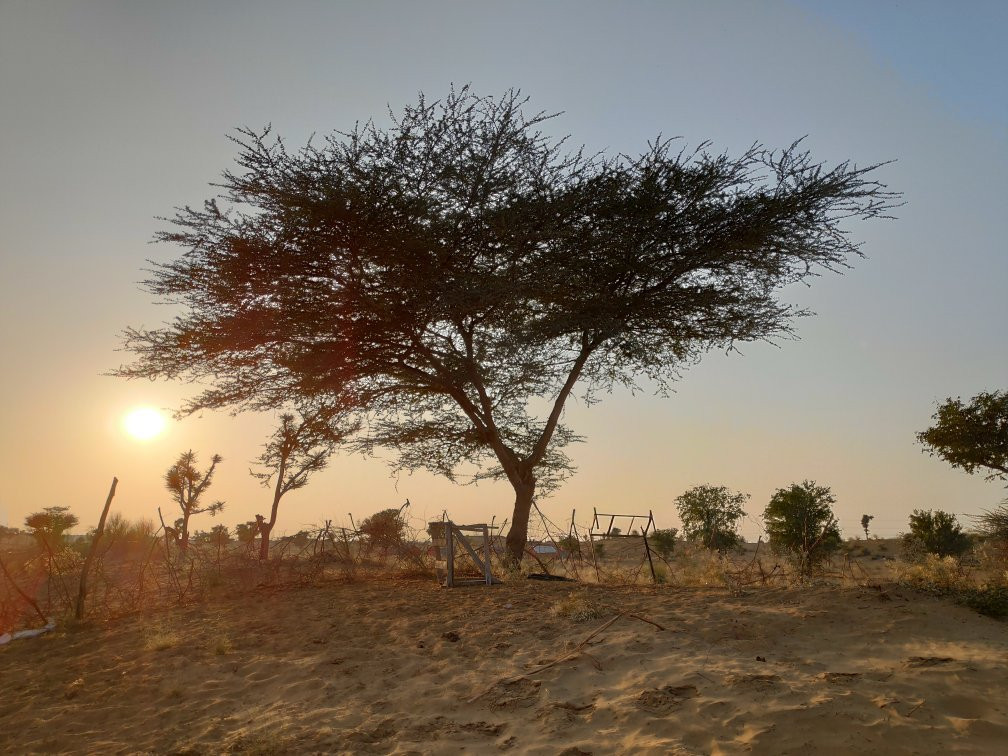 Rao Bikaji Camel Safari主图