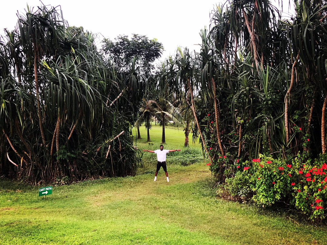 CIAL Golf Course景点图片