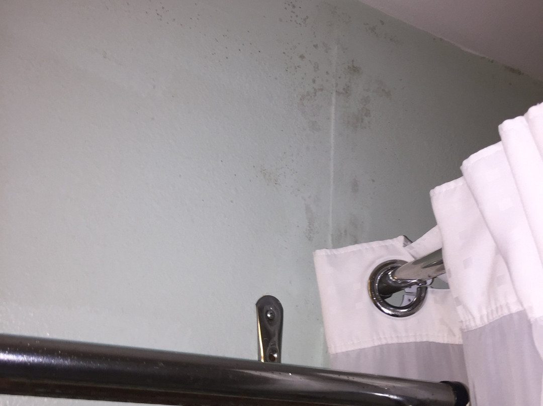 太平洋旅馆主图