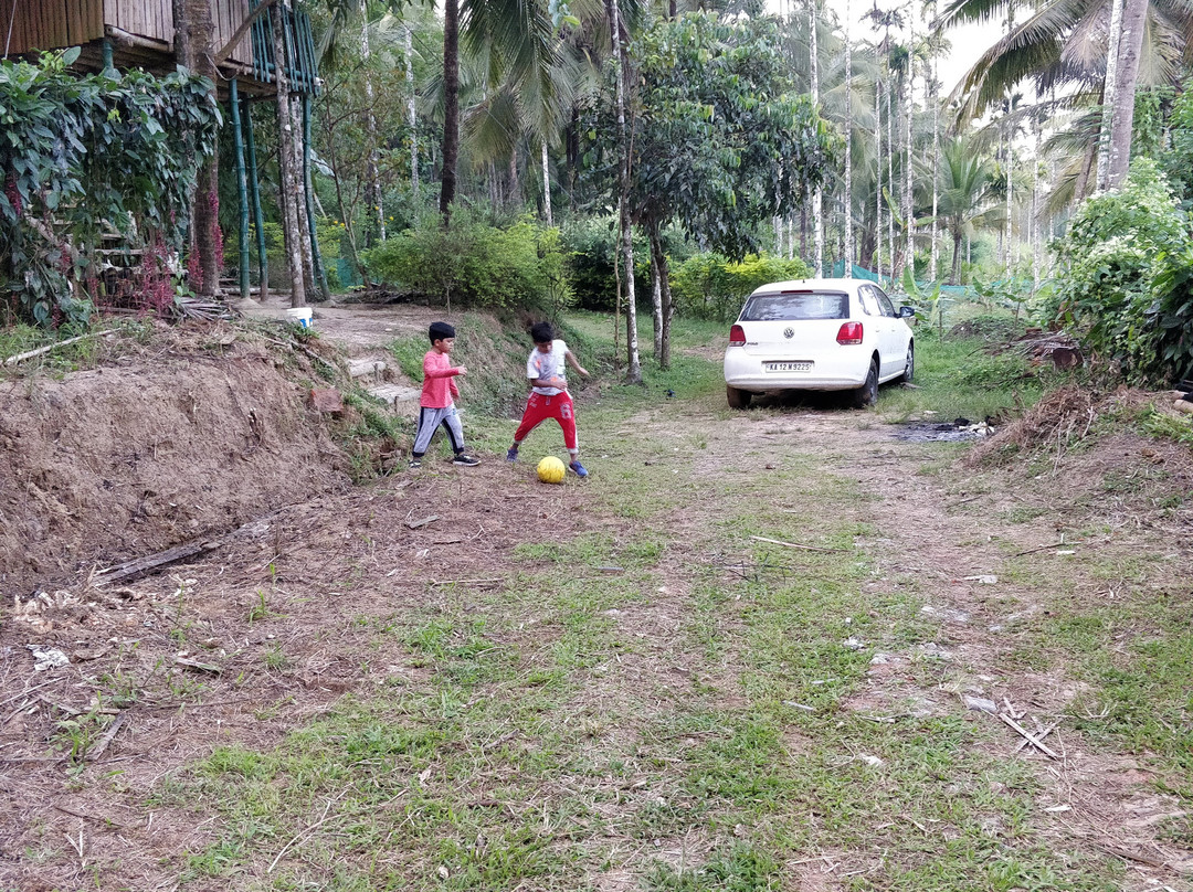 Greenways Treehut & Villas主图