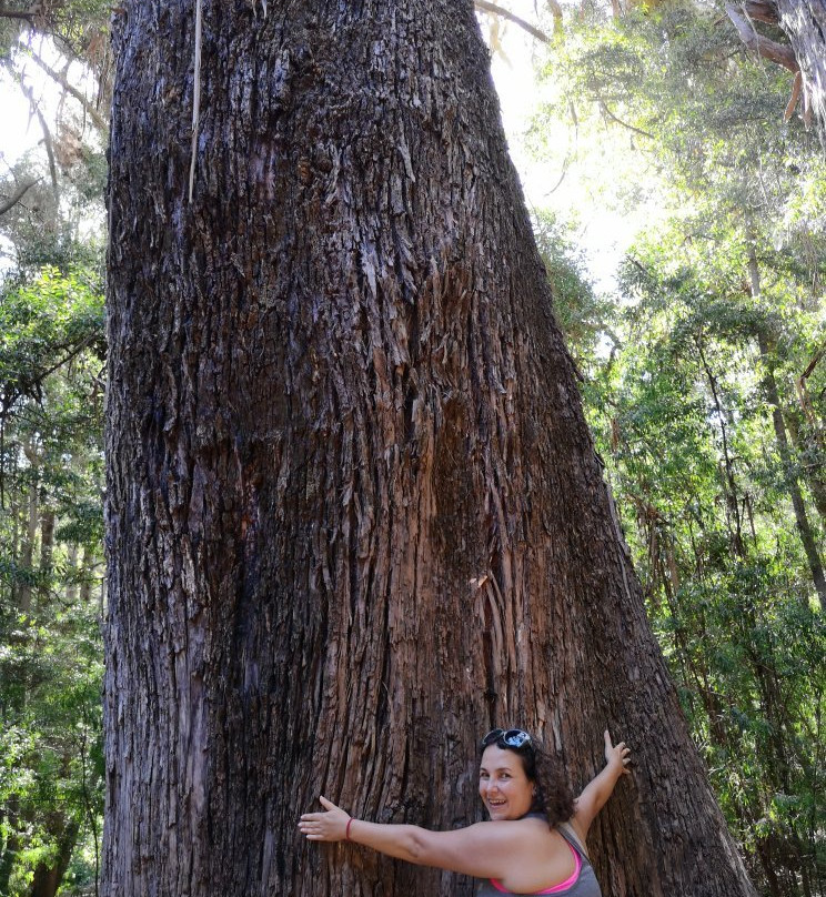 Reserva Nacional Federico Albert-Chanco必去景点