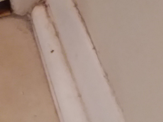 Sands Beach Club Resort主图