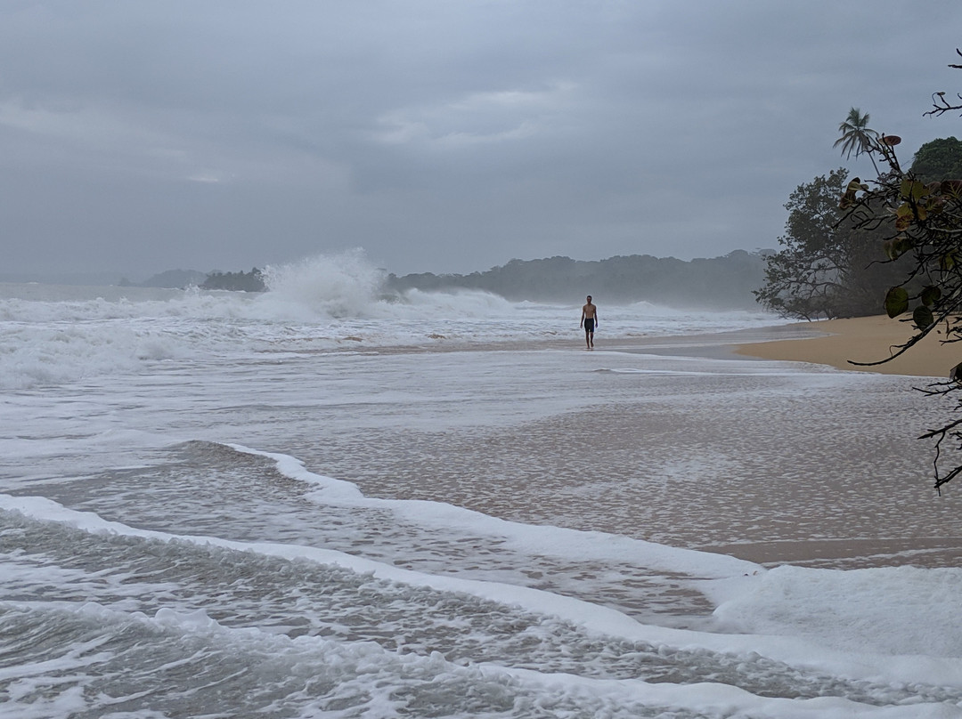 Koko Over The Water主图