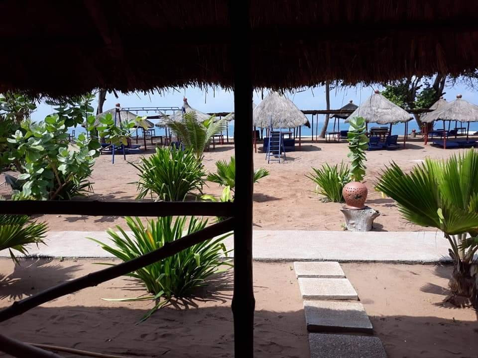 La Case De Crusoe主图