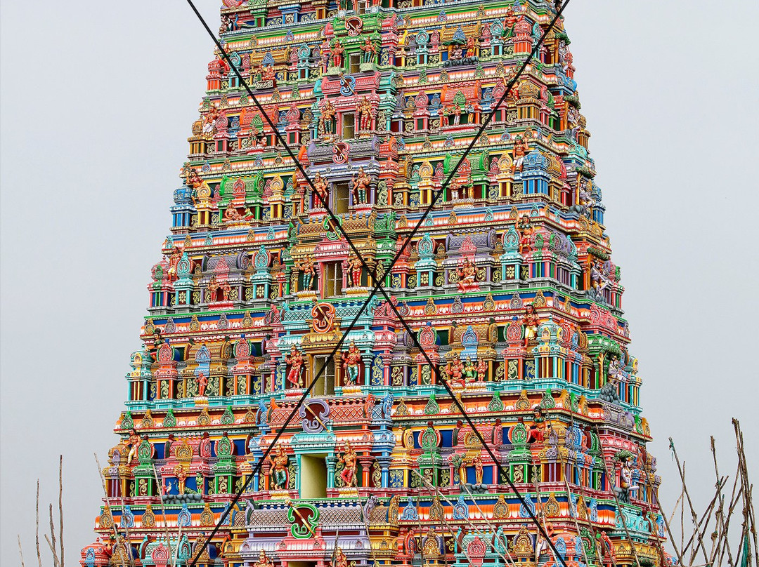 Thiruthani Murugan Temple景点图片