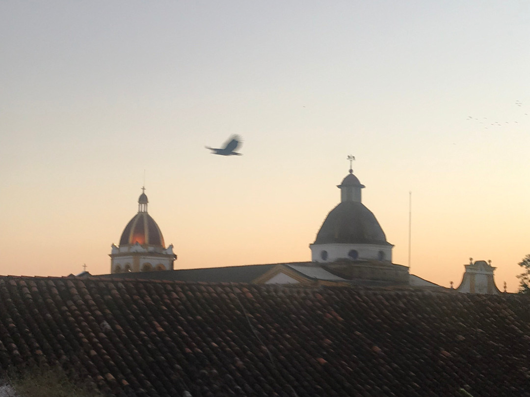 Bioma Boutique Hotel Mompox主图