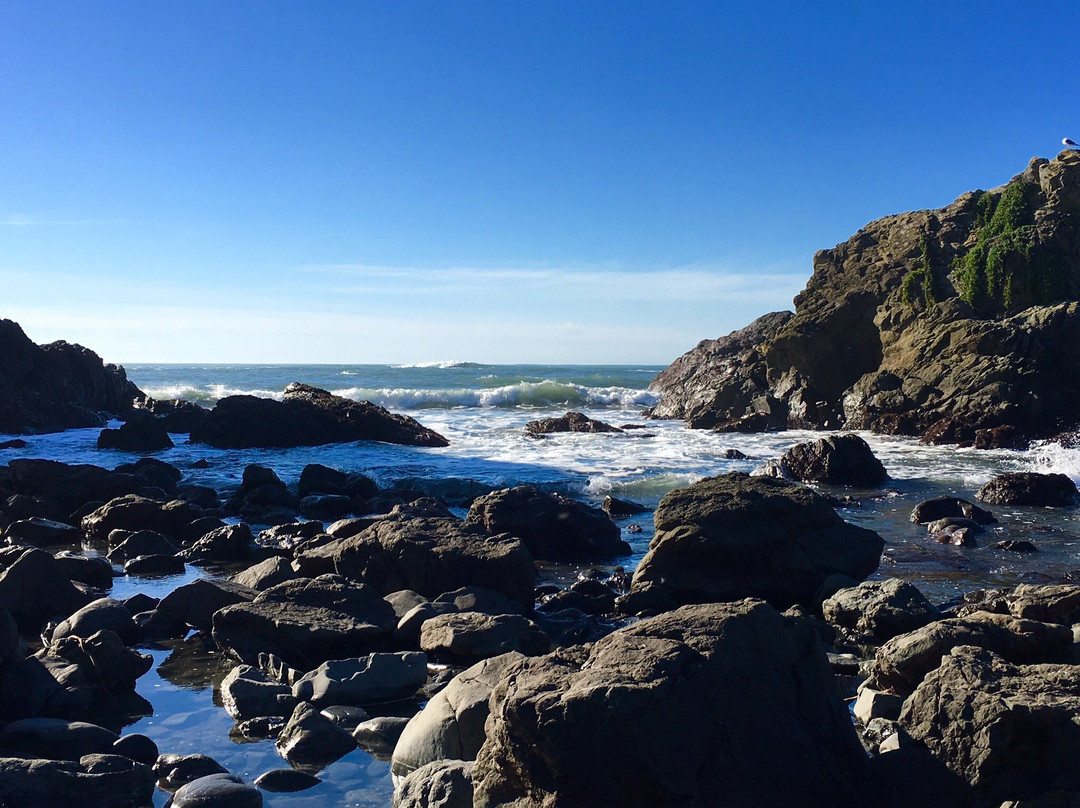 Mill Beach-布鲁金斯必去景点