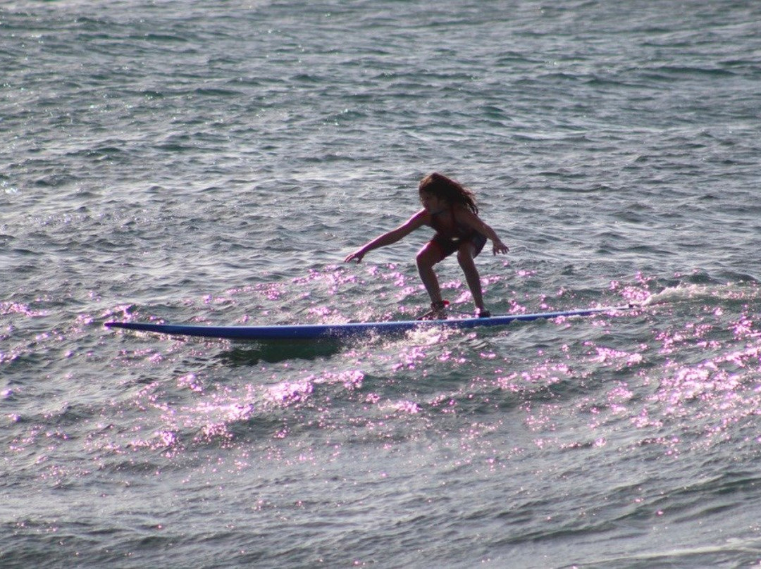 Hans Hedemann Surf School景点图片