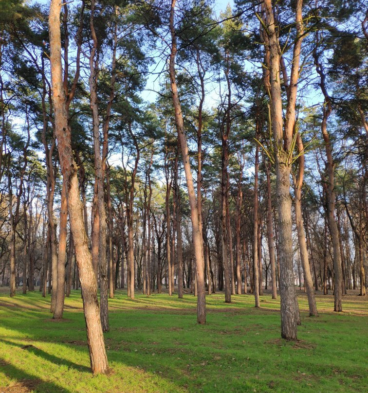 The Solnechny Ostrov (Sunny Island) Park景点图片