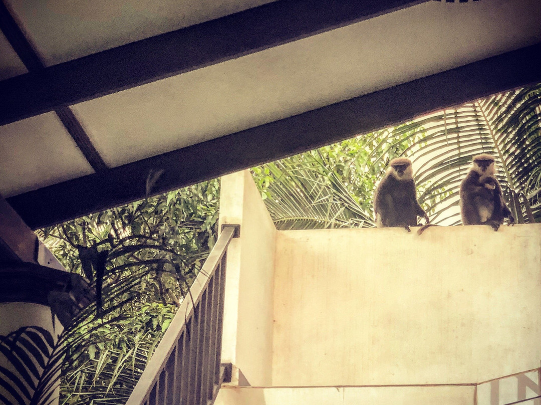 Tinara River Inn主图