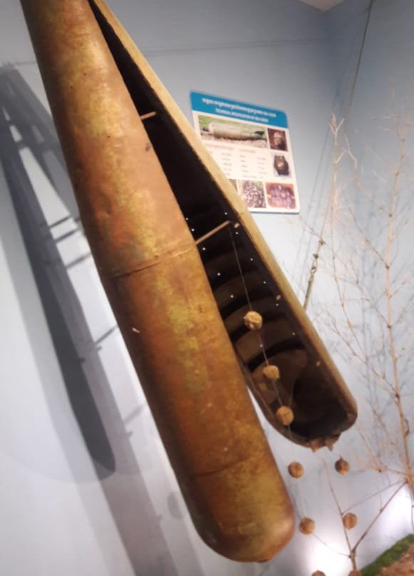 Peace Museum of Mine Action-暹粒必去景点