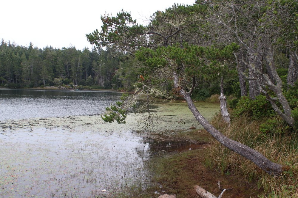 Siltcoos Lake景点图片