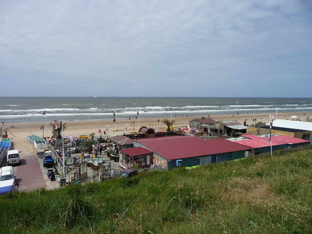 Kennemerduinen an der Nordsee景点图片