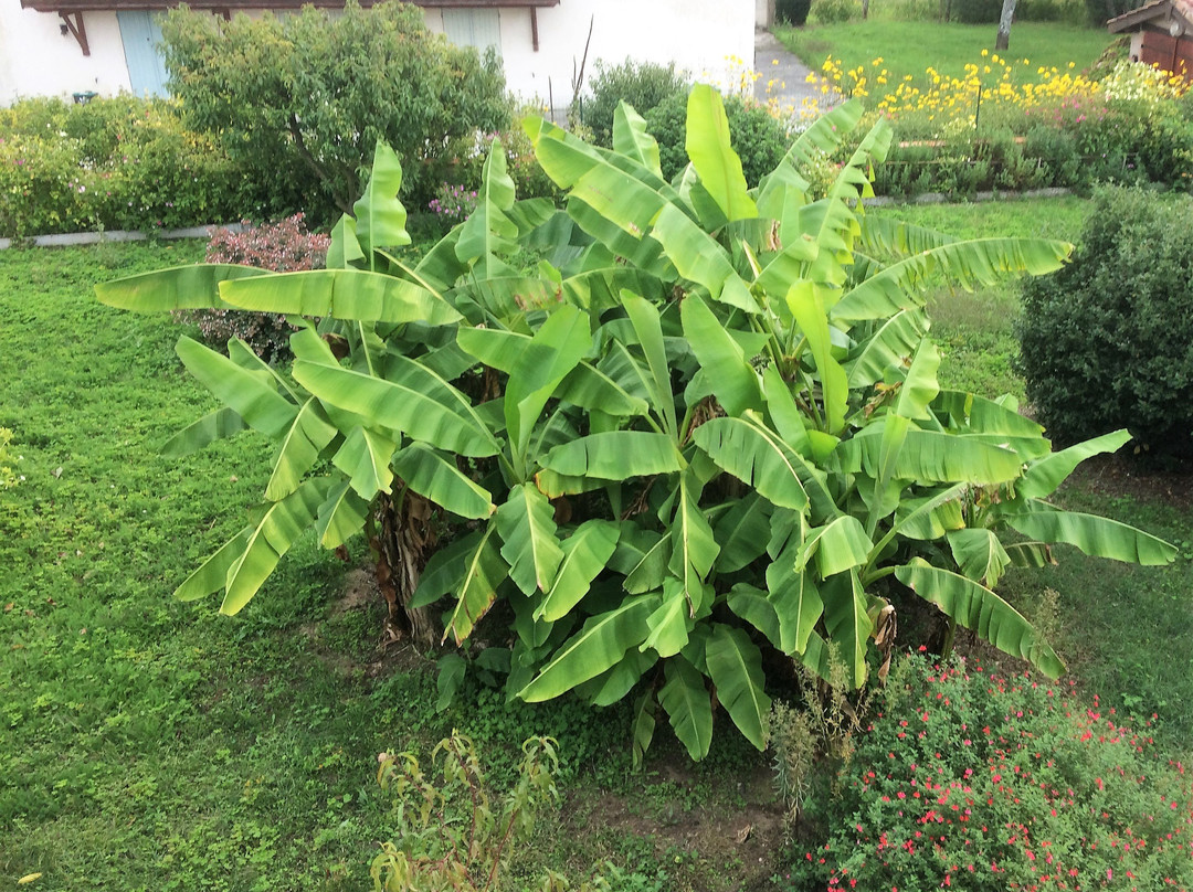 La Halte de Segondignac主图