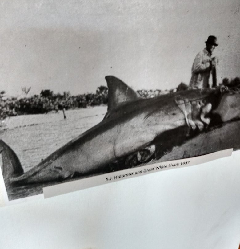 Cortez Cultural Center-Cortez必去景点