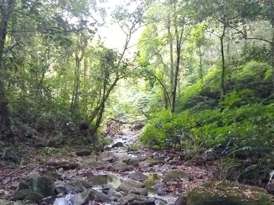 Nokrek National Park景点图片