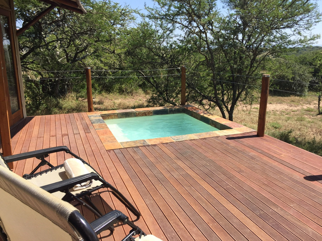 Bush Lodge Amakhala主图