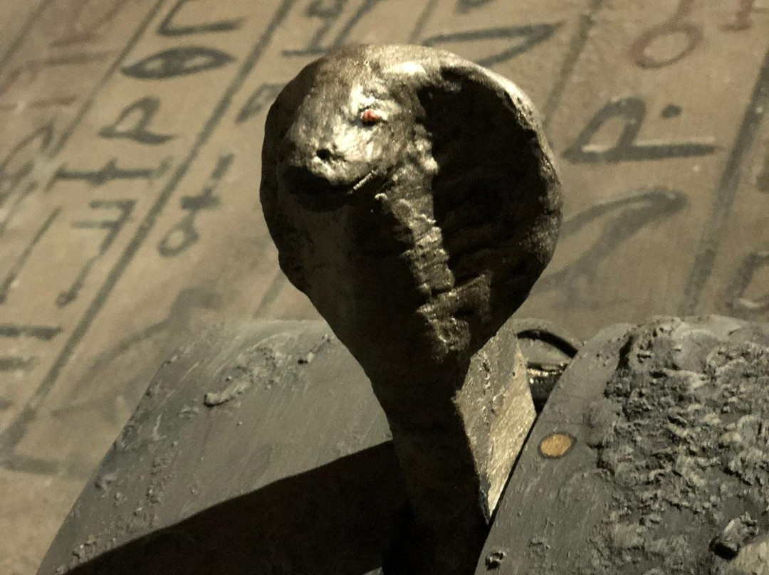 EscapePRO - La Maledizione di Tutankhamon-那不勒斯必去景点