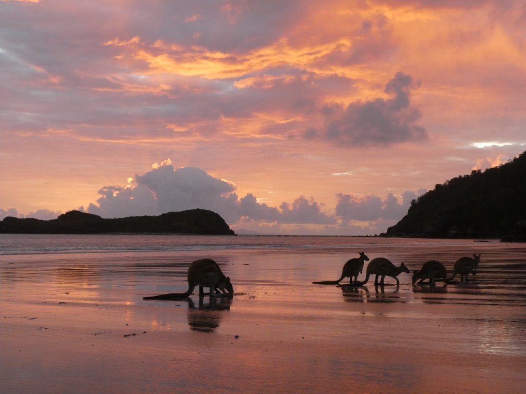 Mackay Region Visitor Information Centre Tours-Cape Hillsborough必去景点