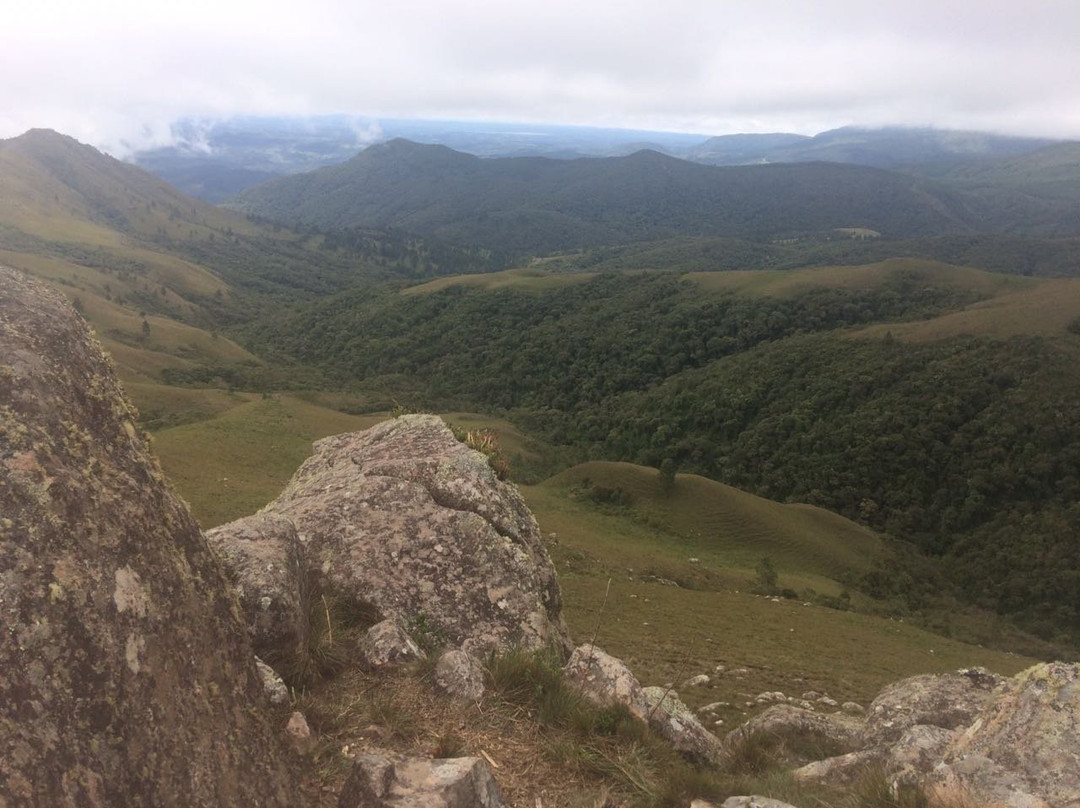 Campos do Quiriri景点图片