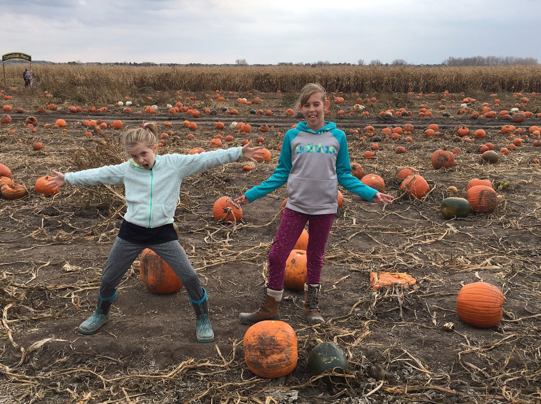 Goebbert's Pumpkin Patch-Hampshire必去景点