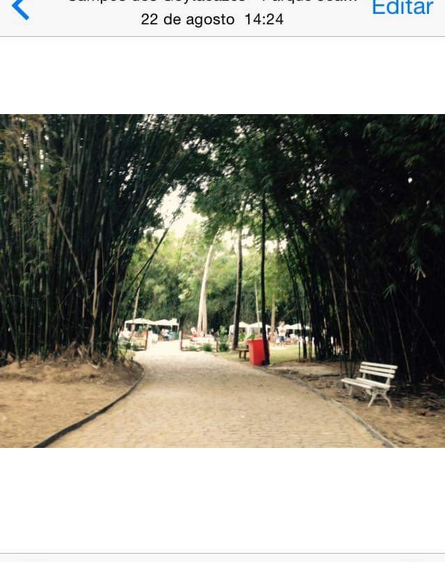 Bosque Manoel Cartucho-Campos dos Goytacazes必去景点