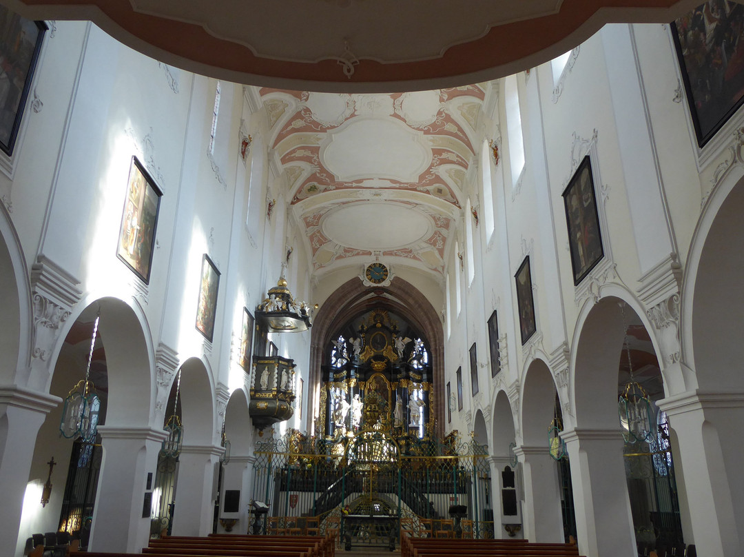 Verenamünster-Bad Zurzach必去景点