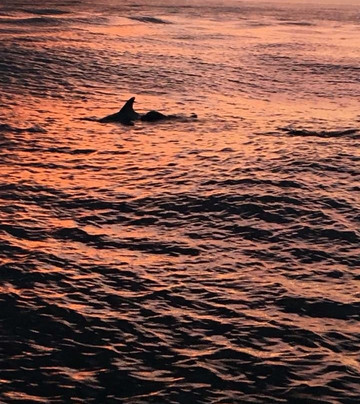 Just Sailing-德斯廷必去景点