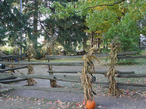 Knox's Pumpkin Farm-Hampton必去景点