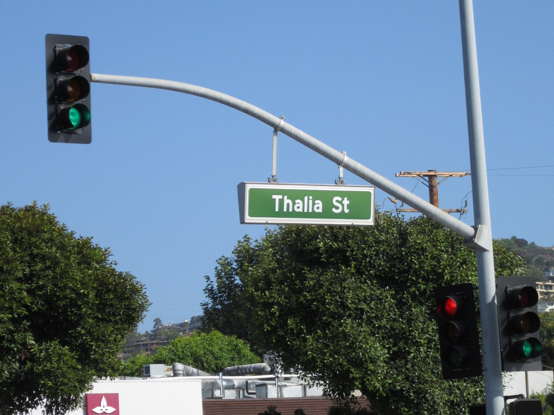 Thalia Surf-拉古纳海滩必去景点