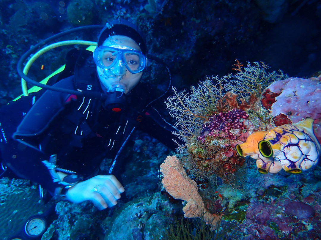 Manado Scuba景点图片