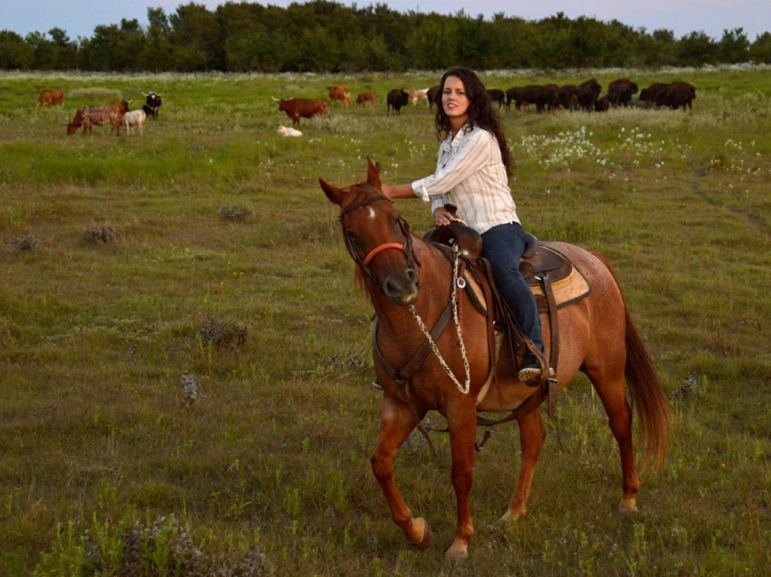 Texas Ranch Life景点图片