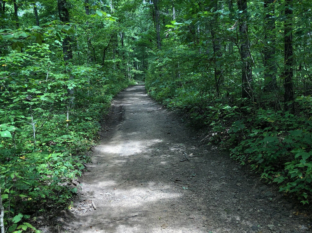 Glory Hole Trail and Waterfall景点图片
