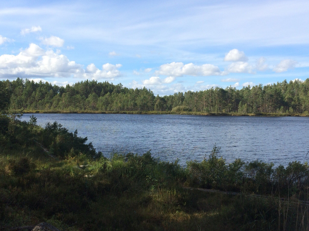 Wild Sweden景点图片