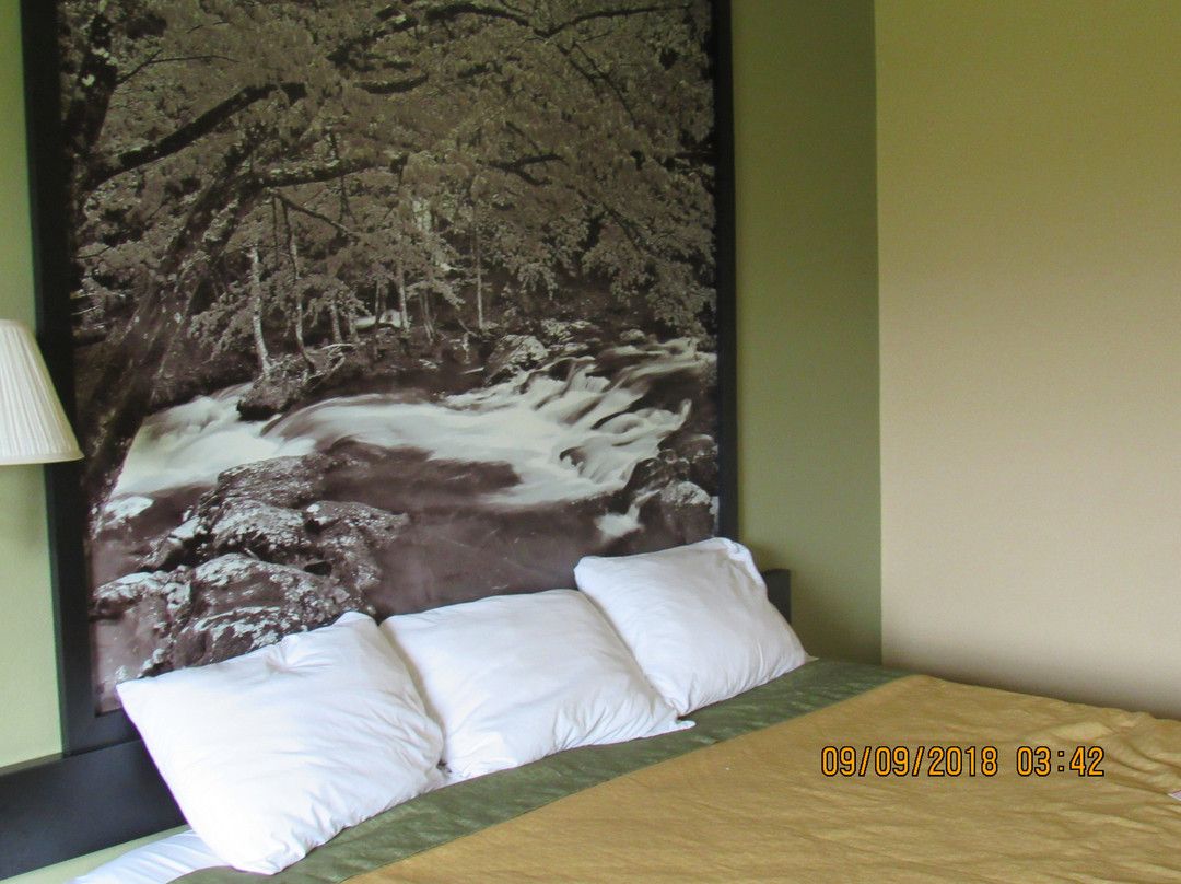 Super 8 by Wyndham Greenville主图