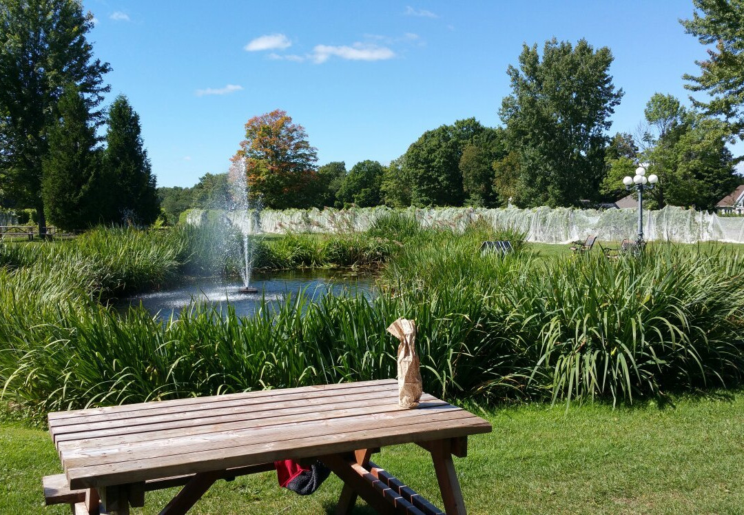 Vignoble Clos Ste-Croix-Dunham必去景点