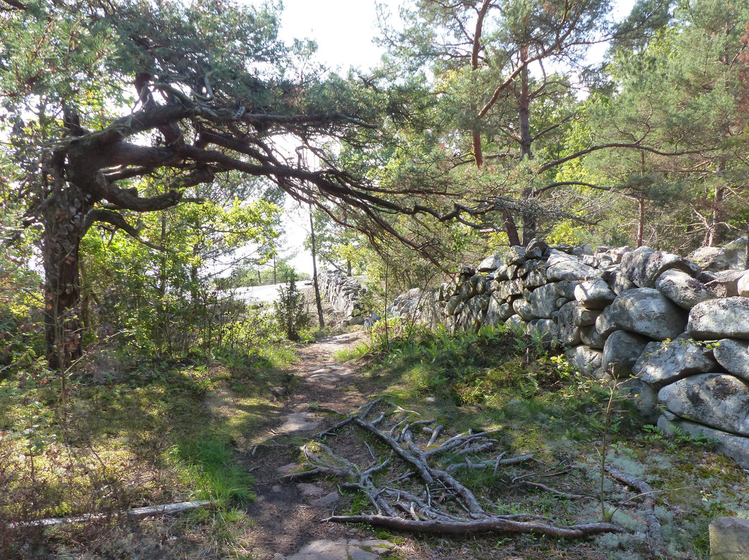 Sternö-Boön景点图片