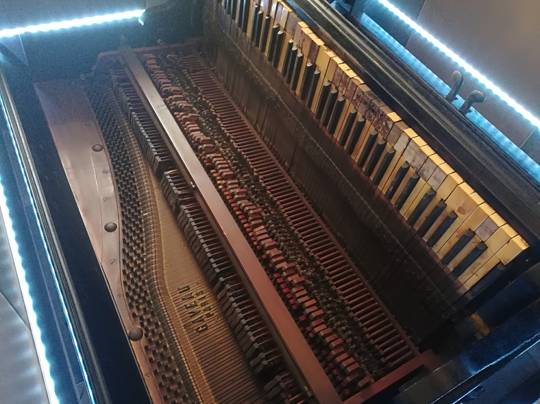 Piano Bar-阿威罗必去景点