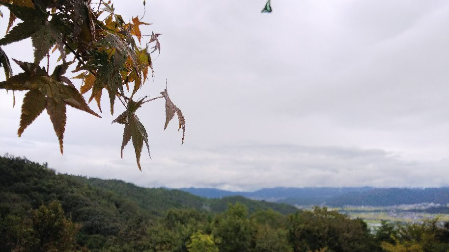 Senjuji Temple-龟冈市必去景点