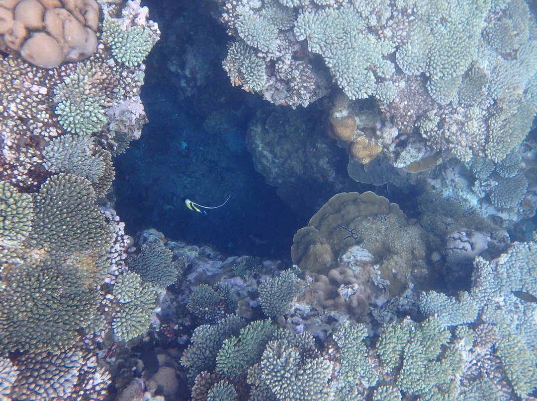 Plage de Tanaraki-Tanaraki必去景点