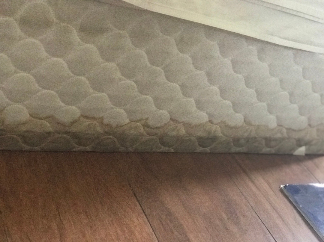 Excellence Comfort Hotel主图