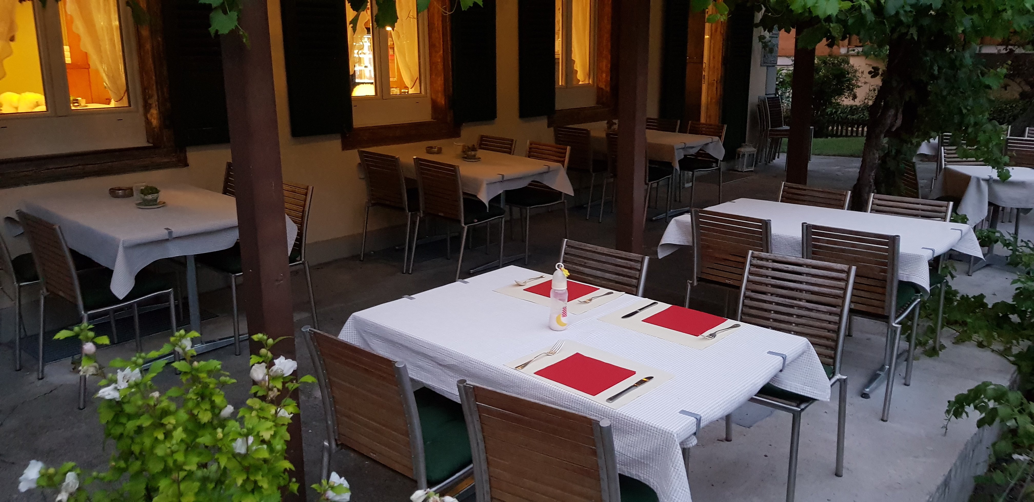 Edelweiss Lodge-餐饮