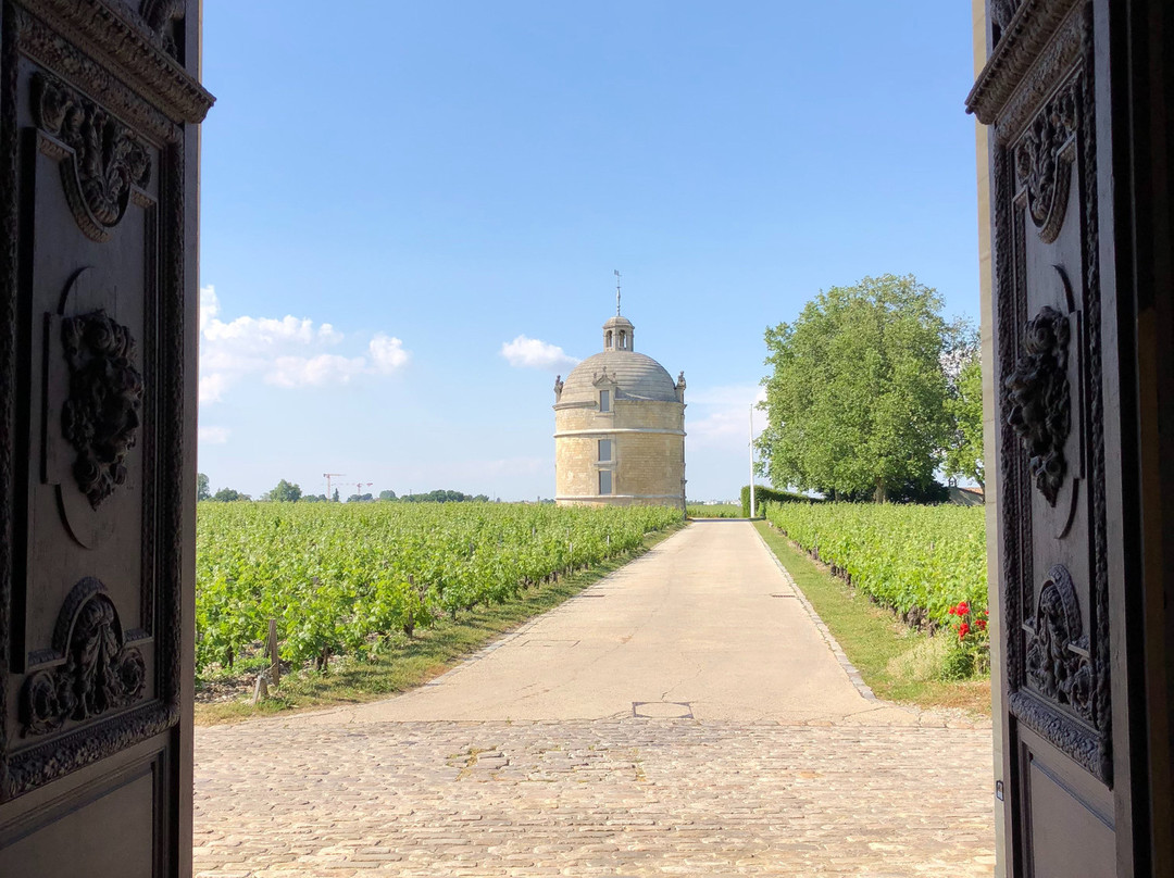Chateau Latour景点图片