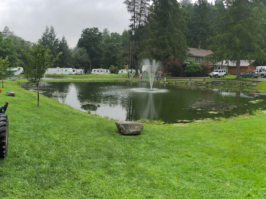 Russell Brook Campsites