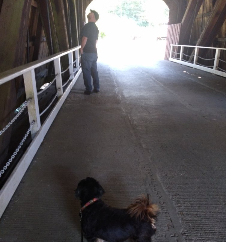 Valley of the Giants-Falls City必去景点