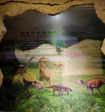 南京地质博物馆-南京市必去景点