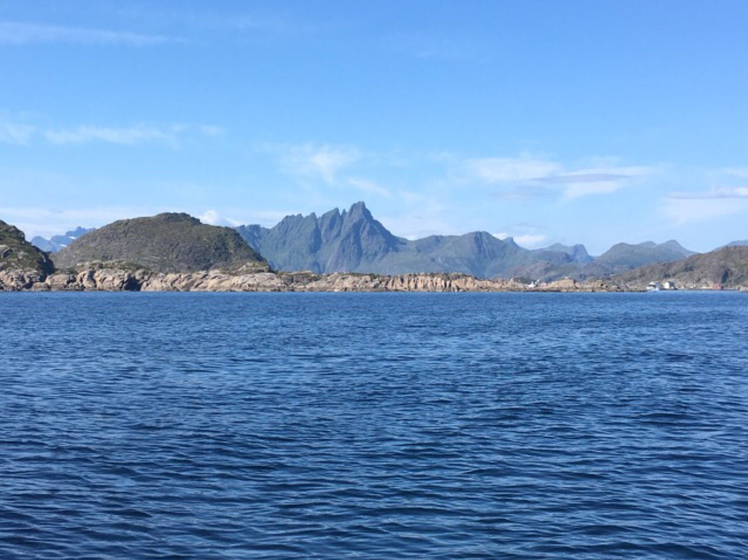 Lofoten fishing & searafting景点图片