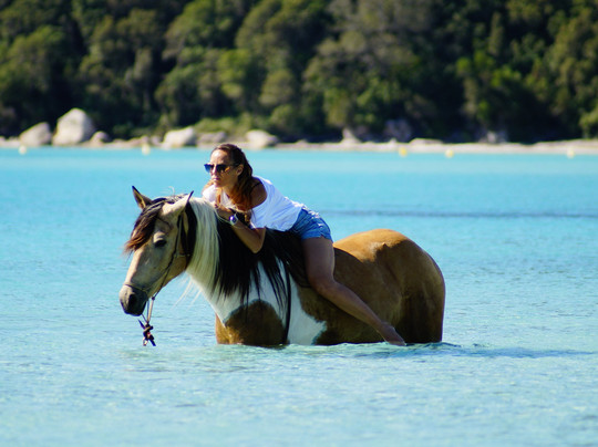 Equicomplice A Staffa Poney Club-维琪奥港必去景点