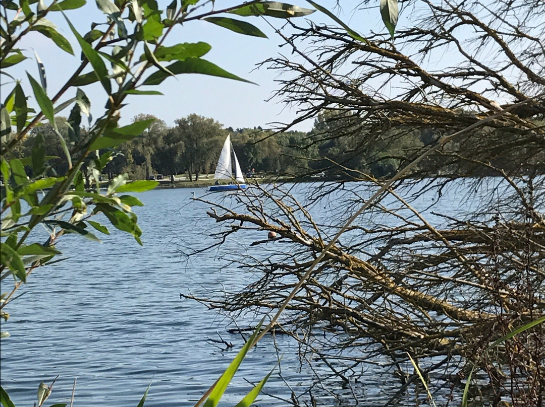 Etang du Vignoble景点图片