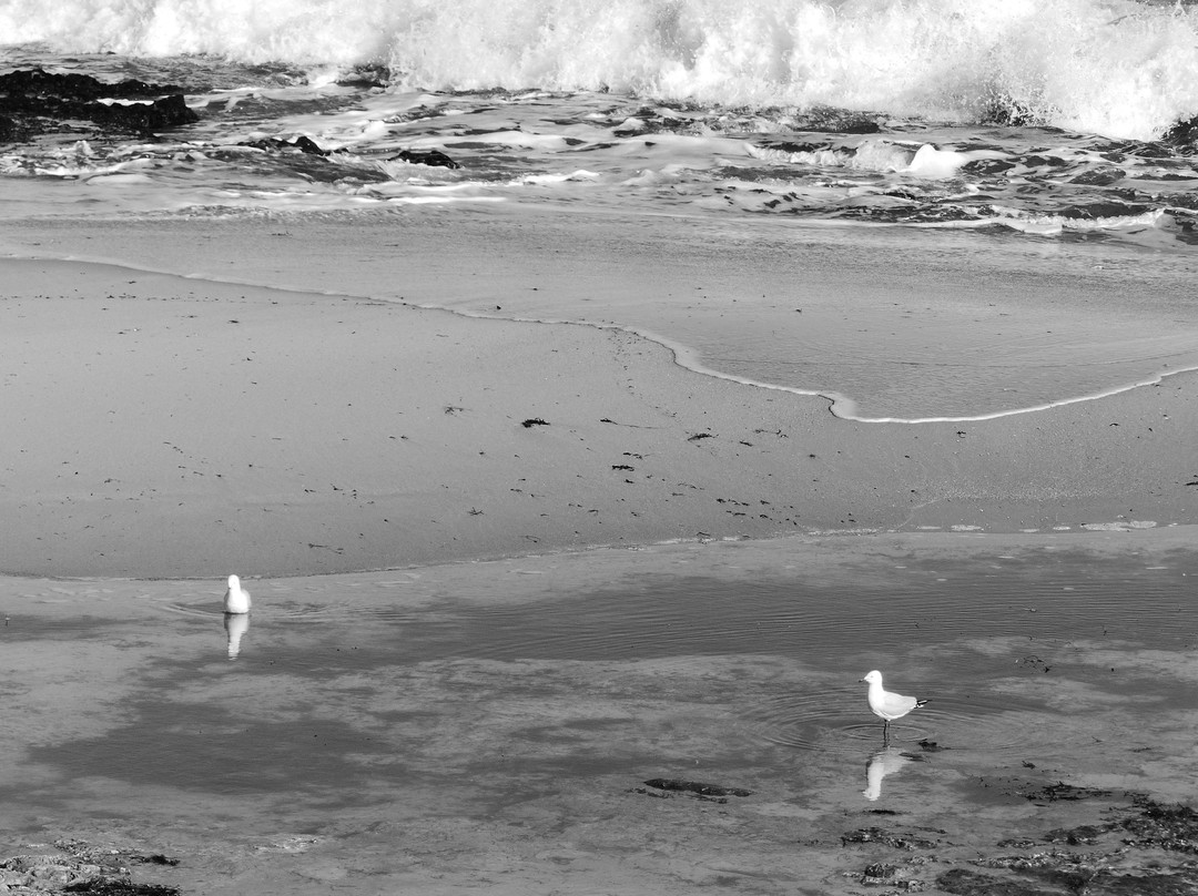 Hungry Hollow Beach-班伯利必去景点